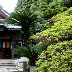 第3番札所 安養院 鎌倉三十三観音霊場