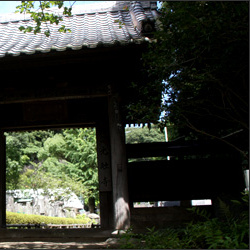 第7番札所 光触寺 鎌倉三十三観音霊場