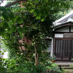 第13番札所 別願寺 鎌倉三十三観音霊場