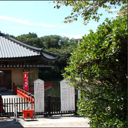 安倍文殊院 大和七福八宝めぐり