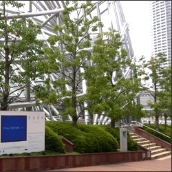 国立国際美術館 大阪旅行・観光スポット